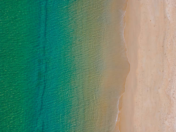 istock Top view beach and in sunset time 1309566650