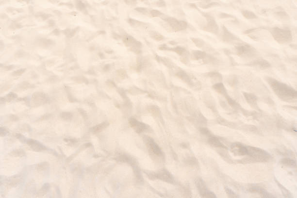 istock Close up sand texture on the beach 1309566846