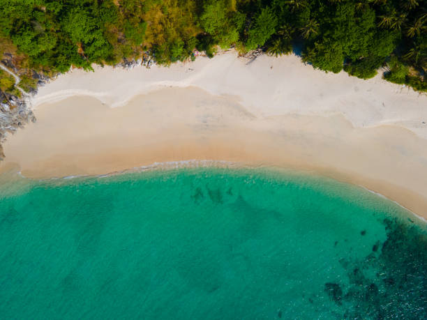 istock Aerial view beach sea in summer sun. 1309566936