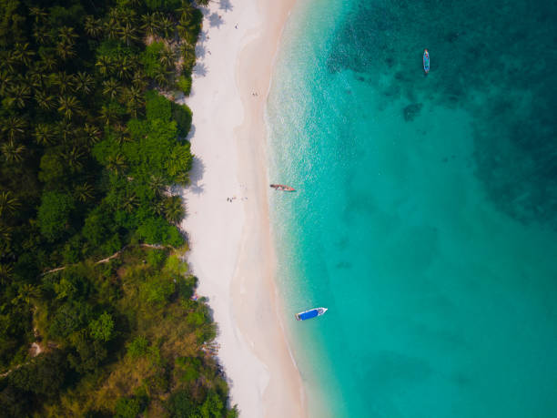 istock Aerial view beach sea in summer sun. 1309566946