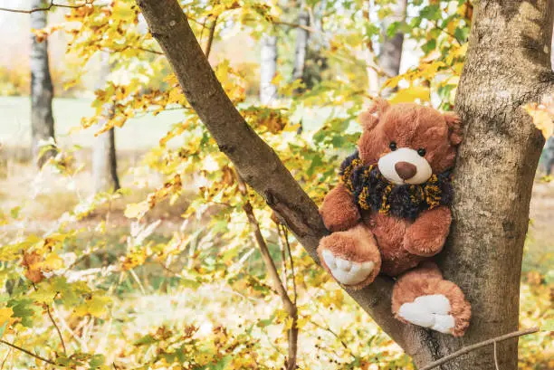 Photo of A cute teddy bear dressed in a fluffy scarf sits on a tree in the autumn forest