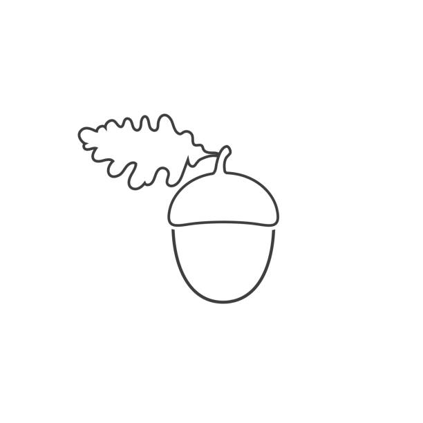 ドングリラインアイコン。ベクトル記号記号 - image branch leaf fruit点のイラスト素材／クリップアート素材／マンガ素材／アイコン素材