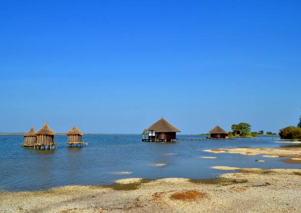 senegal'deki sine-saloum deltasındaki güzel manzara - senegal stok fotoğraflar ve resimler