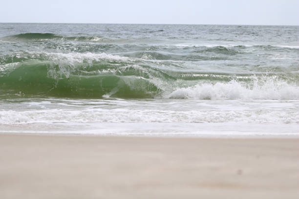 istock Ocean Waves Breaking onto the Beach Sand 1309578604