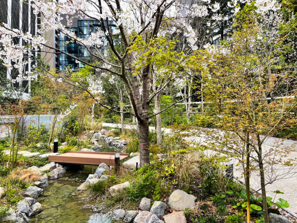 istock Beautiful garden park in Tokyo 1309581153