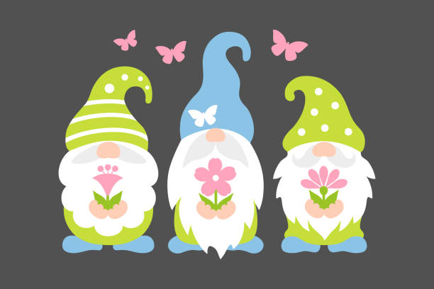 Spring gnome vector. Cute scandinavian gnomes with flowers in cartoon style. Spring gnomes with flowers and butterfly . Funny vector illustration. Cute scandinavian characters. Three dwarf with beards and hats. Nordic gnomes in cartoon style. Holiday greeting card. Gnome stock illustrations