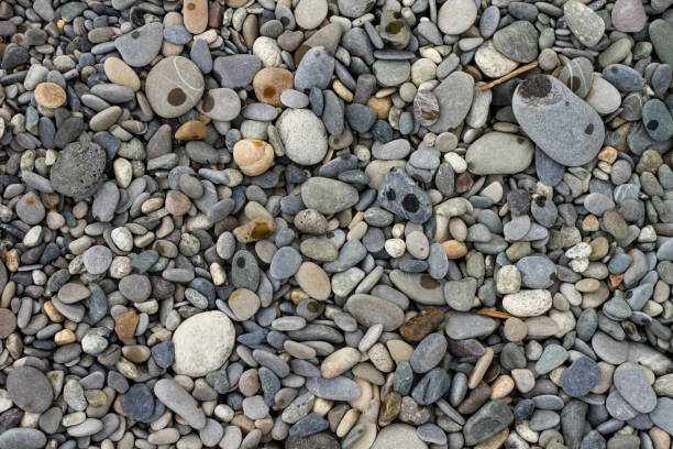 istock Many small, different sizes of marine stones on the shore. 1309584343