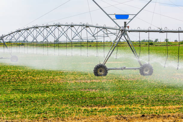 istock Modern irrigation system at the fertile agricultural field 1309586996