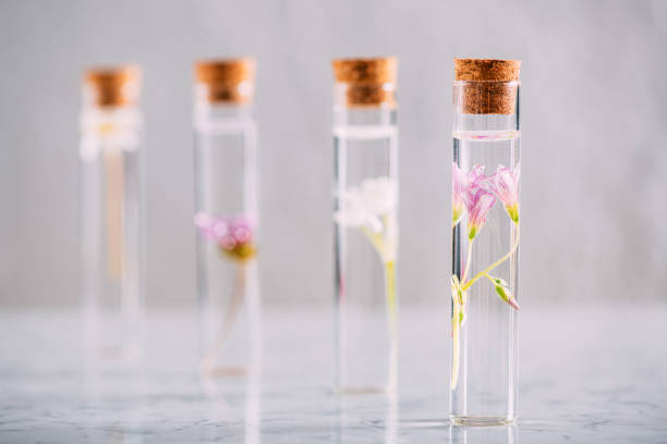 istock Various Herbal Oils With Beautiful Flowers 1309587832