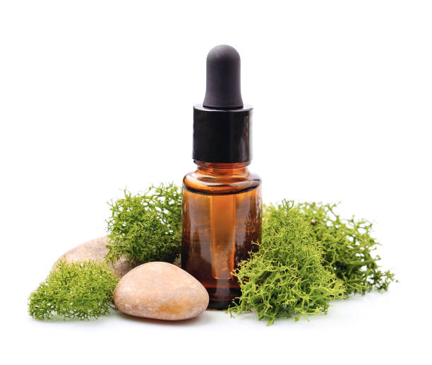 istock Natural cosmetic and natural moss 1309589368