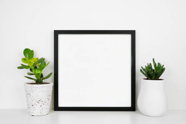 istock Mock up black frame with succulent plants on a white shelf against a white wall 1309592724