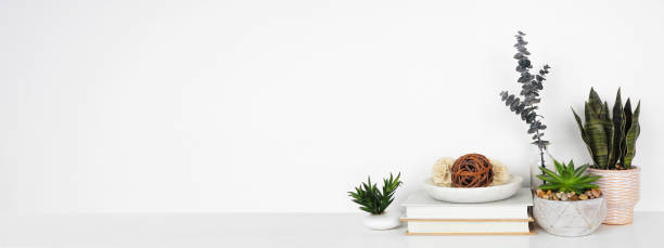 istock Home decor and houseplants on a white shelf against a white wall banner. Copy space. 1309592744
