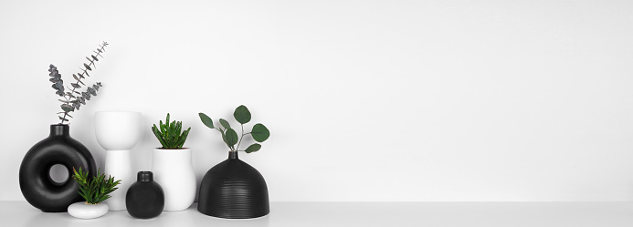 Modern black and white home decor and plants on a shelf. White shelf against a white wall. Banner with copy space.