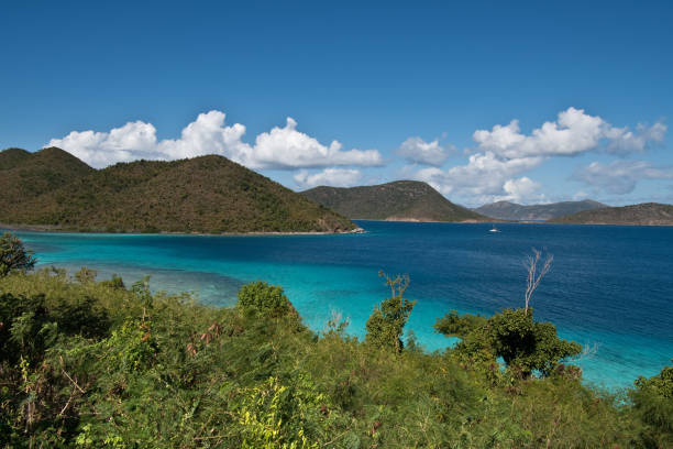 istock US Virgin Islands - Reef - Vacation 1309593300