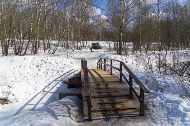 A bridge in the park in winter
