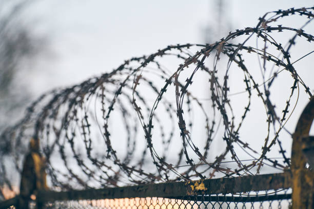 istock Barbed wire on fence of restricted area 1309593642