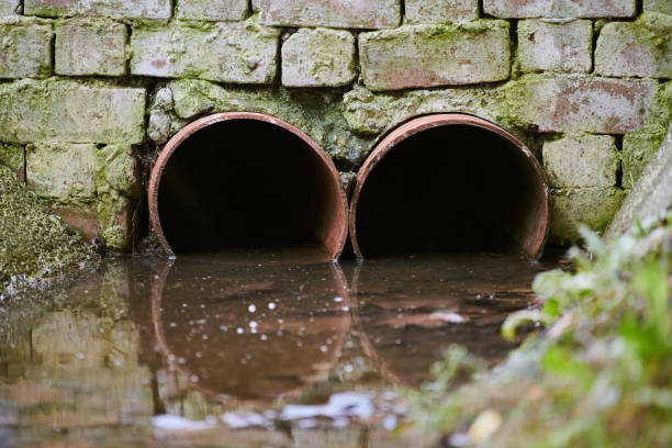 istock Sewers with toxic dirty water 1309593647