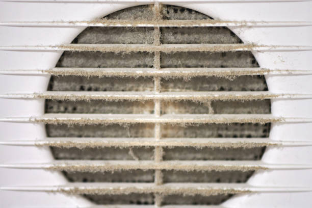istock Dirty air ventilation grill of HVAC with clogged filter. 1309593650