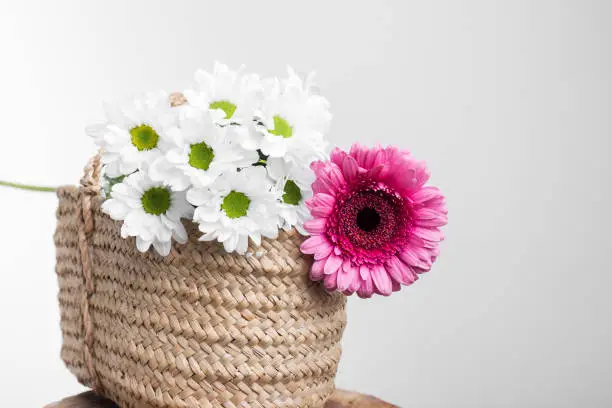 wicker basket filled with a bouquet of white daisies and a larger pink one on a white background, there is space to write above, horizontal photo