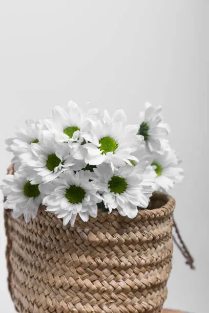 wicker basket filled with a bouquet of white daisies on a white background, there is room to write above, vertical photo