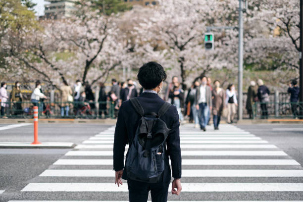 Man looking at cherry blossoms in Springtime of the new normal