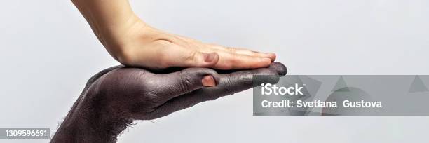 Black Male And White Female Hands Open Palms To Each Other A Symbol Of The Struggle For Black Rights In America The Concept Of Equality And The Fight Against Racismbanner Stock Photo - Download Image Now