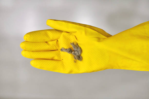Dust balls, fluff and lint in human hand. Person in yellow rubber glove holds dust bunny after cleaning, close up.h