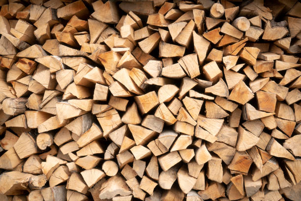 istock Background of firewood 1309600875