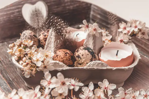 Candles in eggshells, quail eggs and white blossoming apple tree branches on a wooden tray as natural Easter decoration