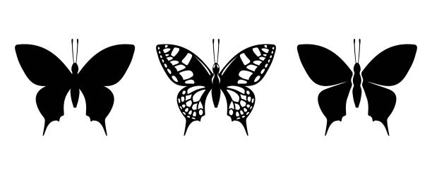 Swallowtail butterflies. Vector black silhouettes. Vector set of black silhouettes of swallowtail butterflies isolated on a white background. butterfly tattoo stencil stock illustrations