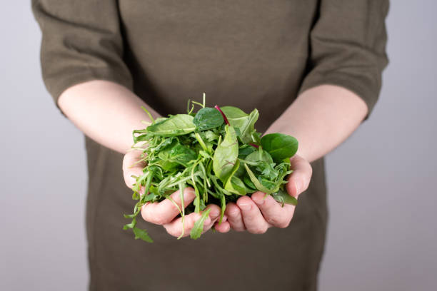 Female hands holding a bunch of leafy vegetables on a green background, vegetarian food, healthy eating. Female hands holding a bunch of leafy vegetables on a green background, vegetarian food, healthy eating, close up. Handful of Spinach stock pictures, royalty-free photos & images
