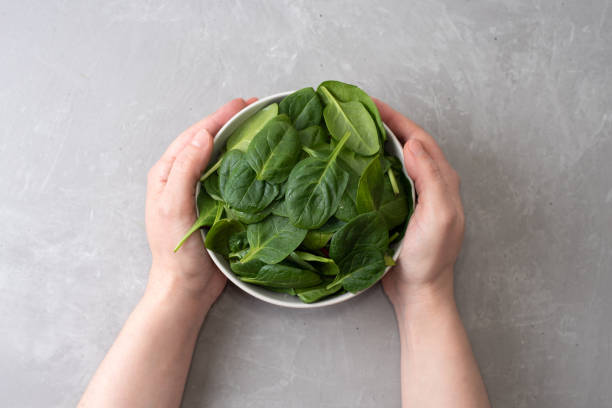 istock Female hands holding bowl with fresh baby spinach on gray background. 1309602989