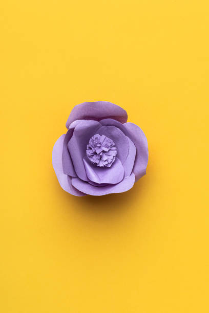 istock Paper Flowers on Purple Background 1309603235