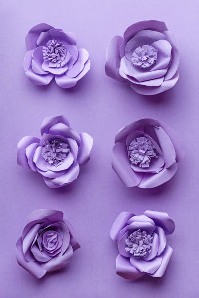 istock Paper Flowers on Purple Background 1309603247