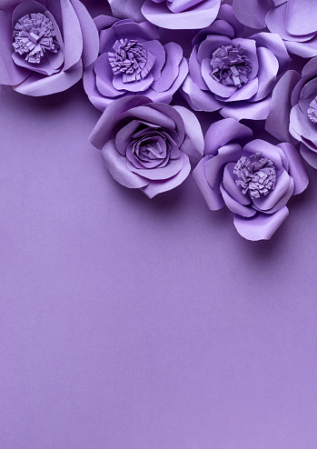 Paper Flowers on Purple Background From Above
