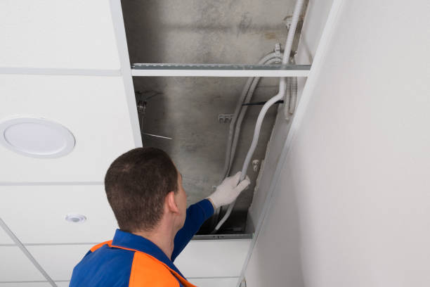 istock laying of electrical cables and the Internet above the false ceiling 1309606745