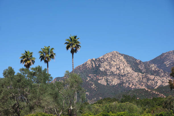 istock Santa Ynez Mountains 1309609137