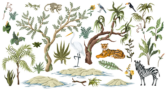 Jungles trees and animals isolated.