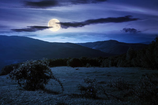 istock green grass on the meadow in mountains at night 1309613216