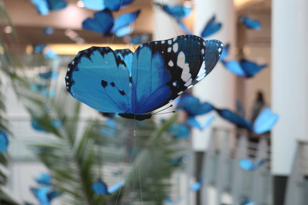 istock COLORFUL BUTTERFLIES IN A MALL. IT'S SPRING TIME! 1309613272