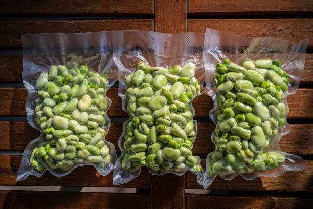 broad beans also lima beans peeled in vacuum sealed plastic bag ready to be frozen - fava bean bean seed imagens e fotografias de stock