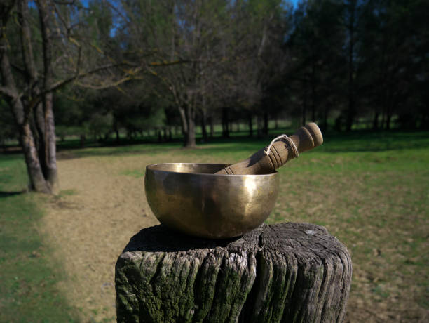 istock Singing bowl with nature in background on a sunny day 1309613415