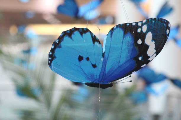 istock COLORFUL BUTTERFLIES IN A MALL. IT'S SPRING TIME! 1309613659