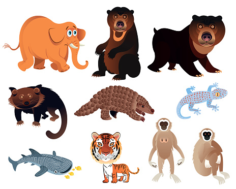 Vector Thailand Animals