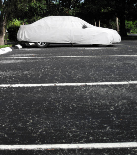 istock Covered car in parking lot 1309614695
