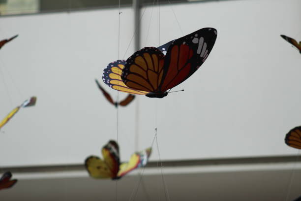 istock COLORFUL BUTTERFLIES IN A MALL. IT'S SPRING TIME! 1309614743