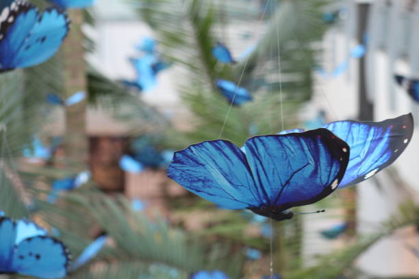 istock COLORFUL BUTTERFLIES IN A MALL. IT'S SPRING TIME! 1309614745
