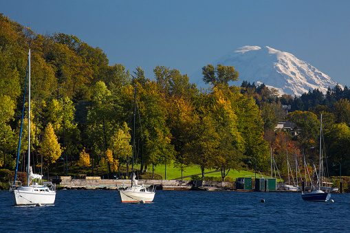 View of fall foliage and Mt. Rainier from Lake Washington in Seattle, Washington