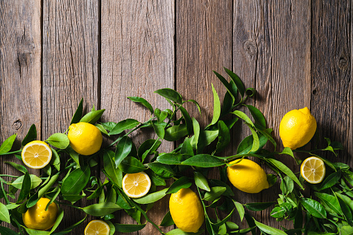 lemon fruits in branches and leaves of lemon tree on rustic wooden table