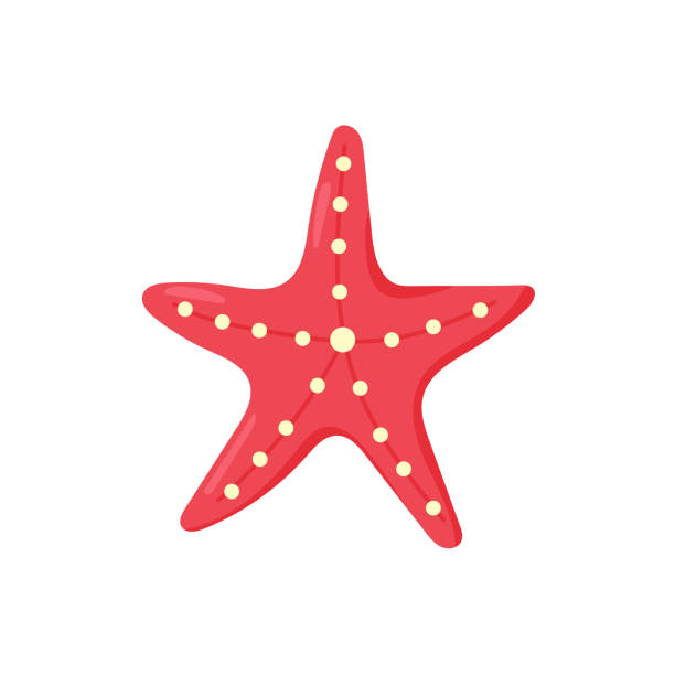 Vector red cute sea starfish Vector red cute sea starfish pink beach umbrella stock illustrations